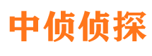 西华市侦探公司